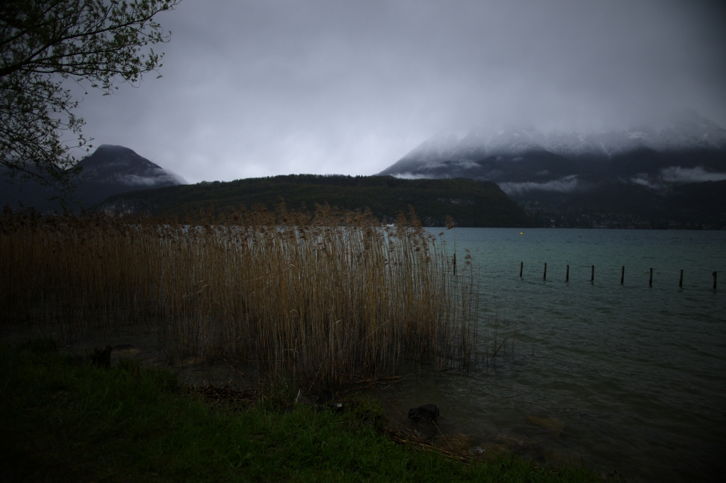 nature