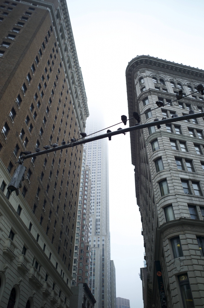architecture